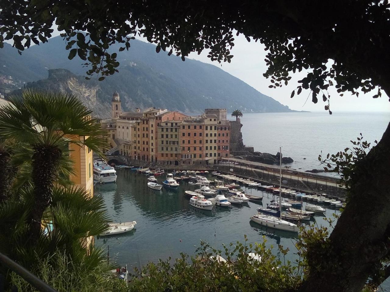 Casa Teresina A Camogli Apartment Bagian luar foto